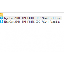 TigerCat 234B FPT F4HFE Delete
