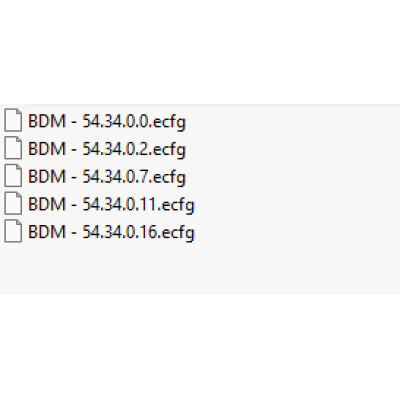 BDM ecfg files