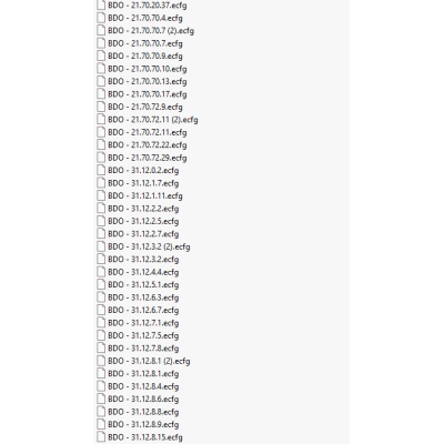 BDO ecfg files
