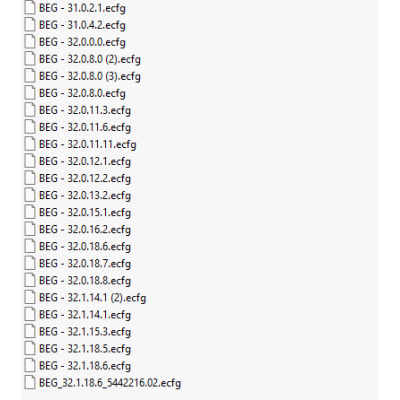 BEG ecfg files