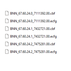BNN ecfg files