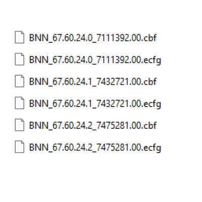 BNN ecfg files BNN ecfg files